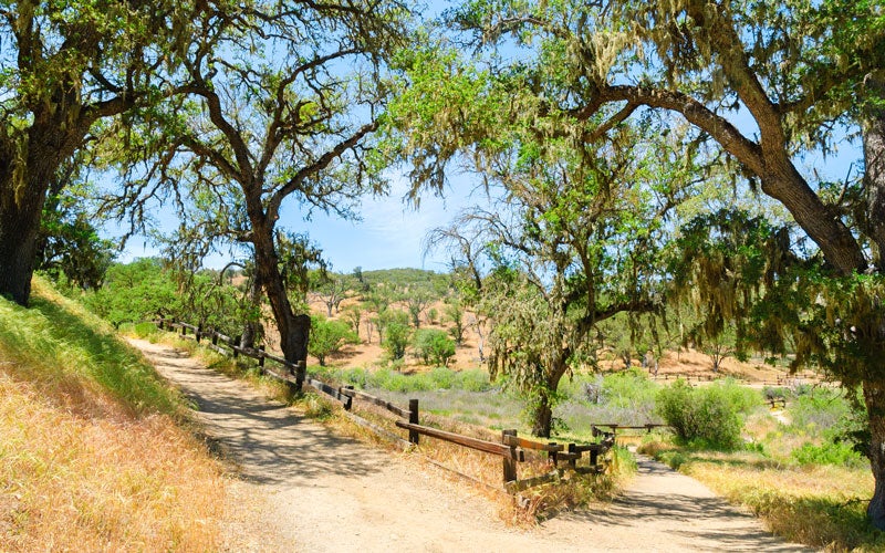Pinnacles National Park